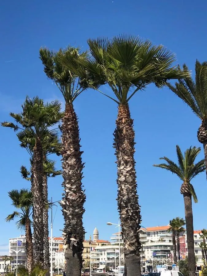 Apartment Appartement Vue Mer 75 M2 Saint-Raphael